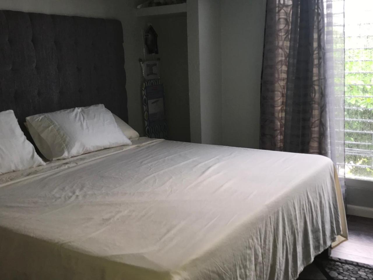 Abacus Jamaica The Zana Suites Kingston Eksteriør bilde