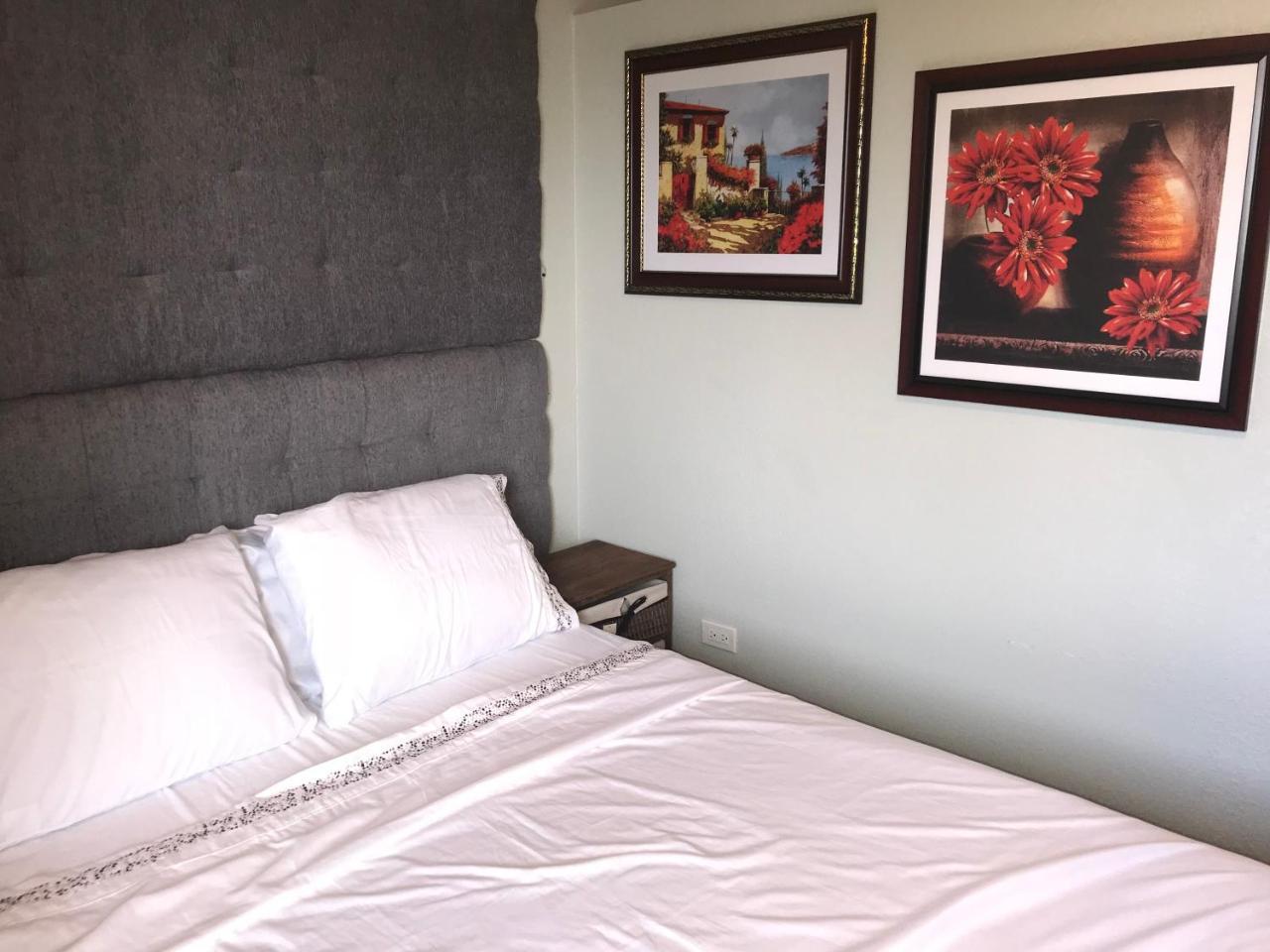 Abacus Jamaica The Zana Suites Kingston Eksteriør bilde